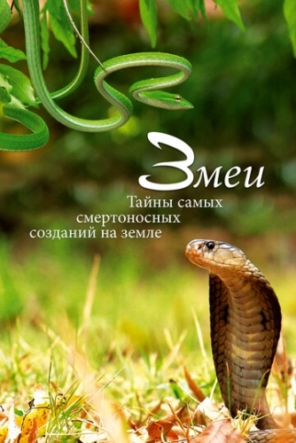 Змеи. Тайны самых смертоносных созданий на земле смотреть онлайн